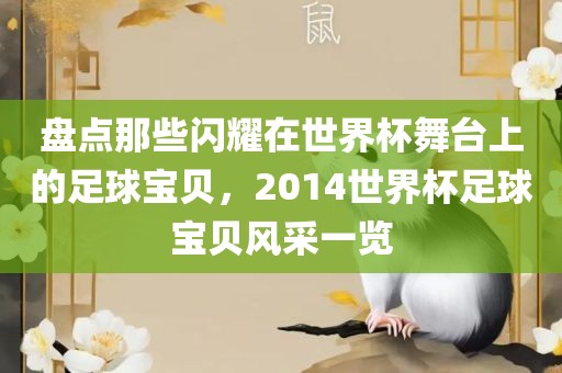 盘点那些闪耀在世界杯舞台上的足球宝贝，2014世界杯足球宝贝风采一览