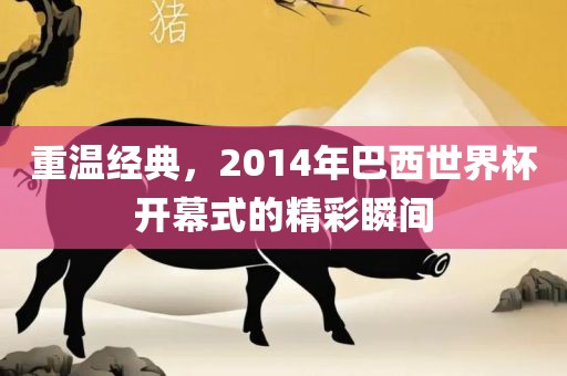 重温经典，2014年巴西世界杯开幕式的精彩瞬间眉山市正发家政服务有限公司