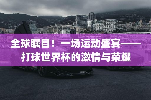 全球瞩目！一场运动盛宴——打球世界眉山市正发家政服务有限公司杯的激情与荣耀