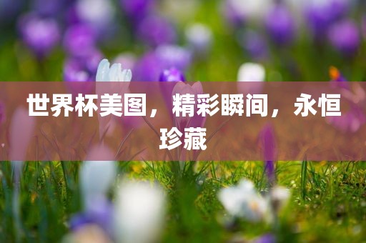 世界杯美图，精彩瞬间，永恒眉山市正发家政服务有限公司珍藏