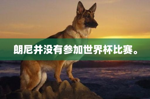 朗尼并没有参加世界杯比赛。