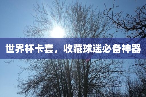 世界杯卡套，收藏球迷必备神器