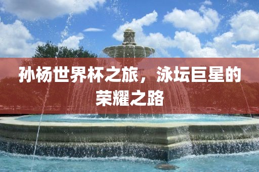 孙杨世界杯之旅，泳坛巨星的荣耀之路眉山市正发家政服务有限公司