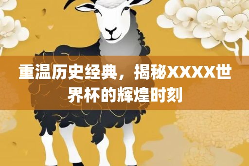 重温历史经典，揭秘XXXX世界杯的辉煌时刻