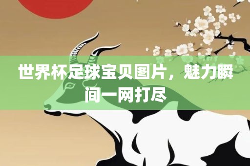 世界杯足球宝贝图片，魅力瞬间一网打尽