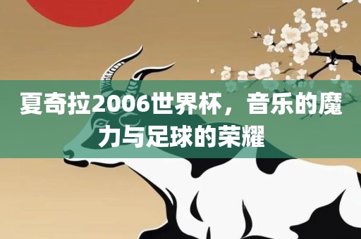 夏奇拉2006世界杯，音乐的魔力与足球的荣耀眉山市正发家政服务有限公司