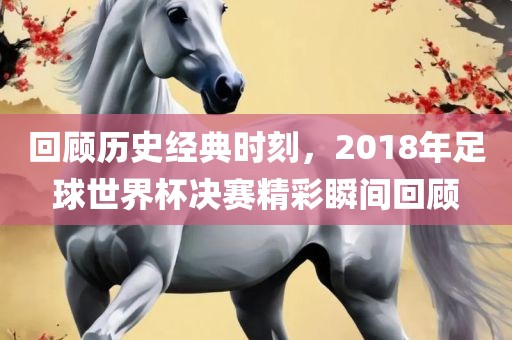 回顾历史经典时刻，2018年足球世界杯决赛精彩瞬间回顾