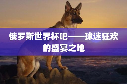 俄罗斯世界杯吧——球迷狂欢的盛宴之地眉山市正发家政服务有限公司