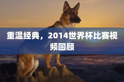 重温经典，2014世界杯比赛视频回顾眉山市正发家政服务有限公司