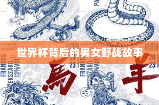 世界杯背后的男女野战故事眉山市正发家政服务有限公司