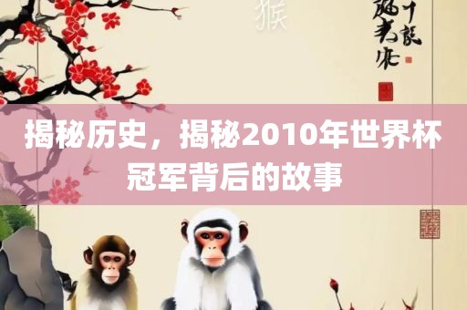 揭秘历史，揭秘2010年世界杯冠军背后的故事