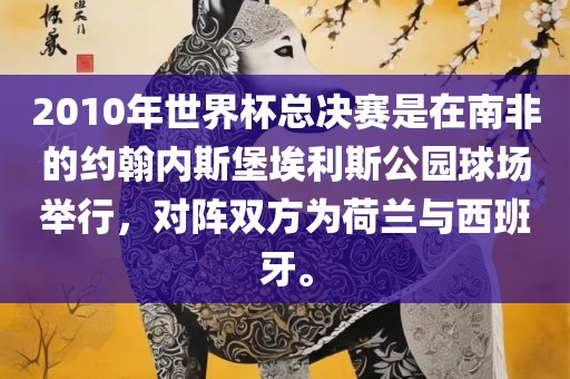 2010年世界杯总决赛是在南非的约翰内斯堡埃利斯公园球场举行，对阵双方为荷兰与西班牙。