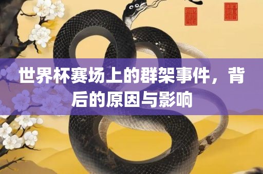 世界杯赛场上的群架事件，背后的原因与影响