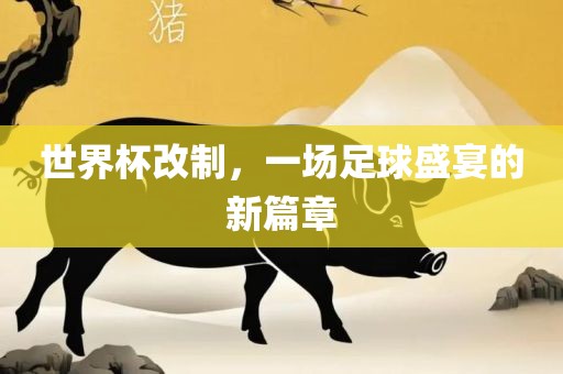 chenxinyao 第7页