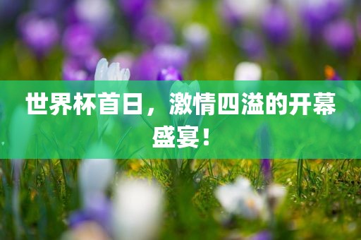 世界杯首日，激情四溢的开幕盛宴！眉山市正发家政服务有限公司