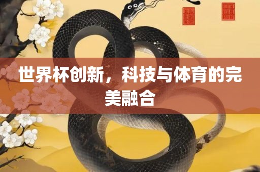 世界杯创新，科技与体眉山市正发家政服务有限公司育的完美融合