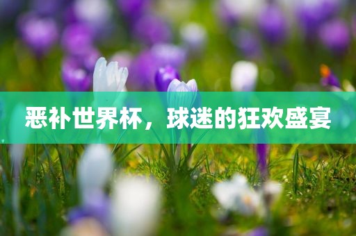 恶补世界杯，球迷的狂欢盛宴眉山市正发家政服务有限公司