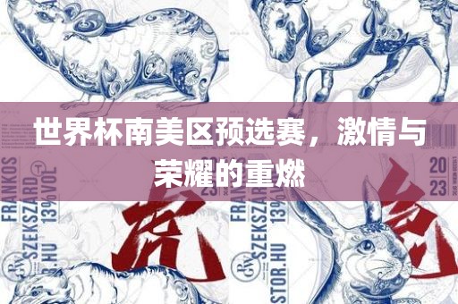世界杯南美区预选赛，激情与荣耀的重燃