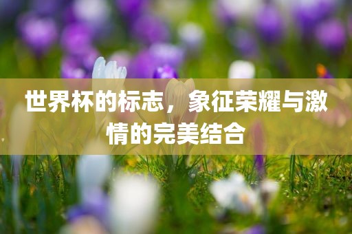 世界杯的标志，象征荣耀与激情的完美结合