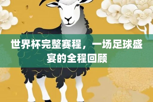 世界杯完整赛程，一场足球盛宴的全程回顾
