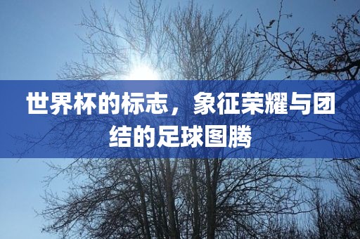 世界杯的标志，象征荣耀与团结的足球图腾