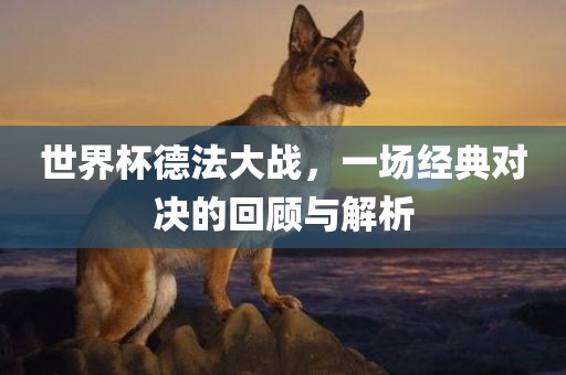 世界杯德法大战，一场经典对决的回顾与解析眉山市正发家政服务有限公司