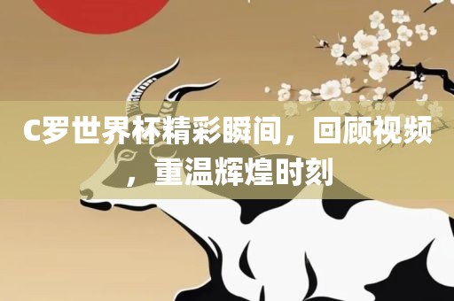 C罗世界杯精彩瞬间，回顾视频，重温辉煌时刻