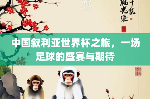中国叙利亚世界杯之旅，一场足球的盛宴与期待眉山市正发家政服务有限公司