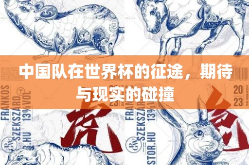中国队在世界杯的征途，期待与现实的碰撞