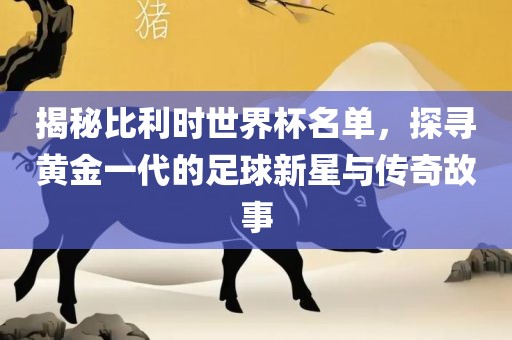揭秘比利时世界杯名单，探寻黄金一代的足球新星与传奇故事眉山市正发家政服务有限公司