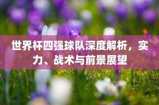 世界杯四强球队深度解眉山市正发家政服务有限公司析，实力、战术与前景展望