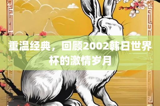 重温经典，回顾2002韩日世界杯的激情眉山市正发家政服务有限公司岁月