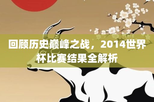 回顾历史巅峰之战，2014世界杯比赛结果全解析眉山市正发家政服务有限公司