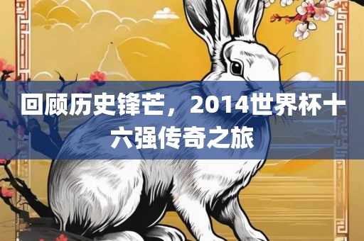 回顾历史锋芒，2014世界杯十六强传奇之旅