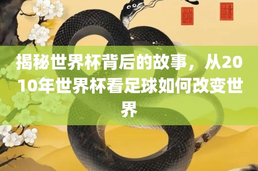 揭秘世界杯背后的故事，从2010年世界杯看足球如何改变世界