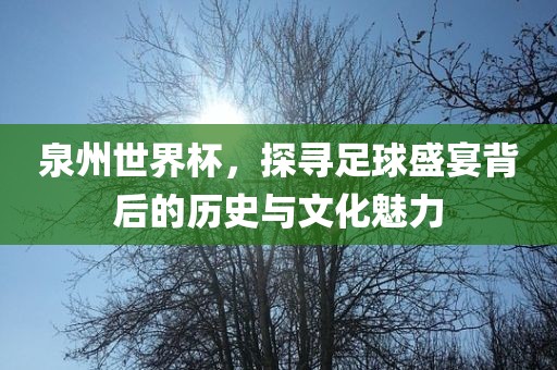 泉州世界杯，探寻足球盛宴背后的历史与文眉山市正发家政服务有限公司化魅力