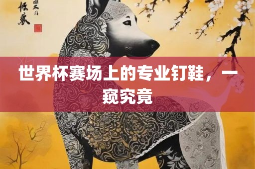 世界杯赛场上的专业钉鞋，一窥究竟眉山市正发家政服务有限公司