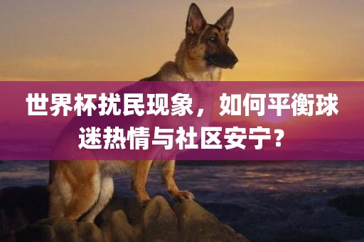 世界杯扰民现象，如何平衡球迷热情与社区安宁？