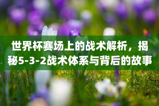 世界杯赛场上的战术解析，揭秘5-3-2战术体系与背后的故事