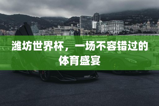 潍坊世界杯，一场不容错过的体育盛宴