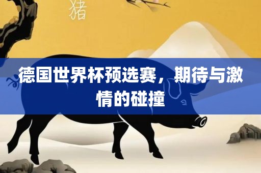 德国世界杯预选赛，期待与激情的碰撞