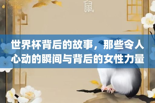 世界杯背后的故事，那些令人心动的瞬间与背后的女性力量