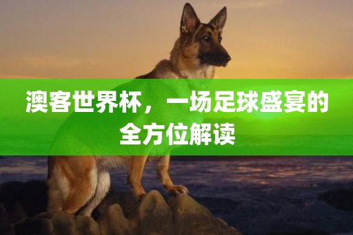 澳客世界杯，一场足球盛宴的全方位解读