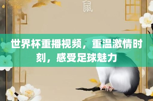 世界杯重播眉山市正发家政服务有限公司视频，重温激情时刻，感受足球魅力