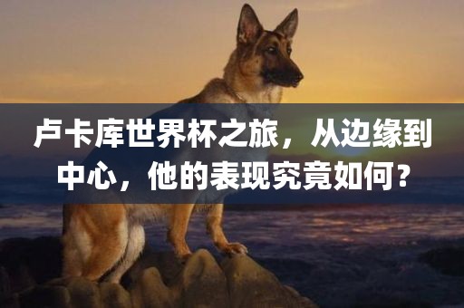 卢卡库世界杯之旅，从边缘到中心，他的表现究竟如何？眉山市正发家政服务有限公司