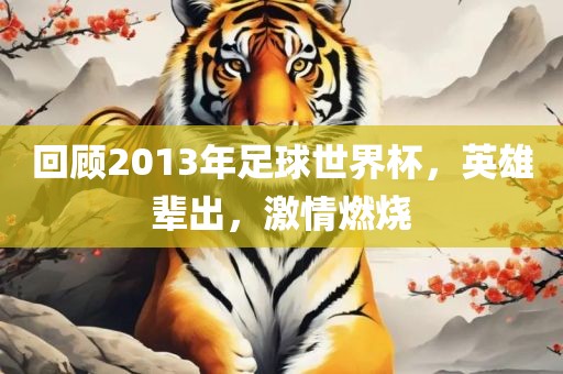 回顾2013年足球世界杯，英雄辈出，激情燃烧