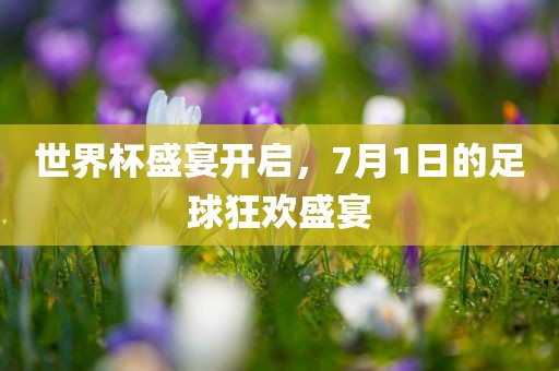 世界杯盛宴开启，7月1日的眉山市正发家政服务有限公司足球狂欢盛宴