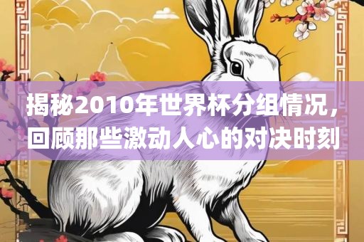 揭秘2010年世界杯分组情况，回顾那些激动人心的对决时刻眉山市正发家政服务有限公司