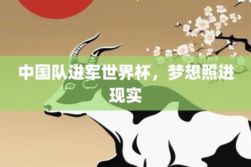 中国队进军世界杯，梦想照进现实
