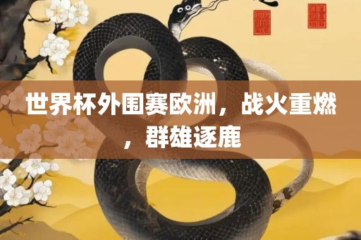世界杯外围赛欧洲，战火重燃，群雄逐鹿眉山市正发家政服务有限公司